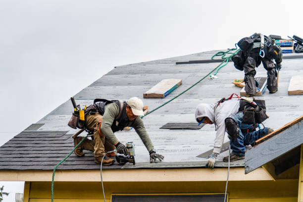 Professional Roof Inspection technician working in Fiskdale, MA
